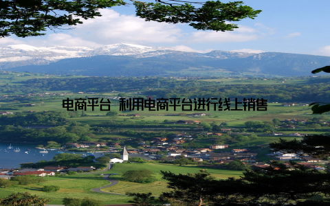 电商平台 利用电商平台进行线上销售