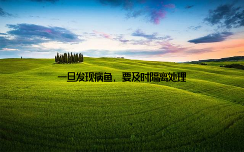 一旦发现病鱼, 要及时隔离处理
