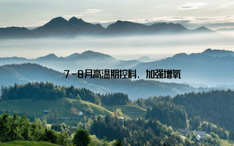 – 7-8月高温期控料, 加强增氧