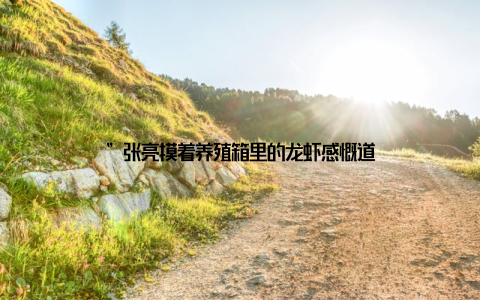 ”张亮摸着养殖箱里的龙虾感慨道