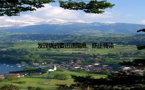 – 发现病鸡要迅速隔离, 防止传染