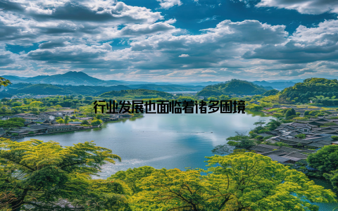 行业发展也面临着诸多困境