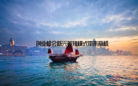 – 创业机会新兴养殖模式带来商机