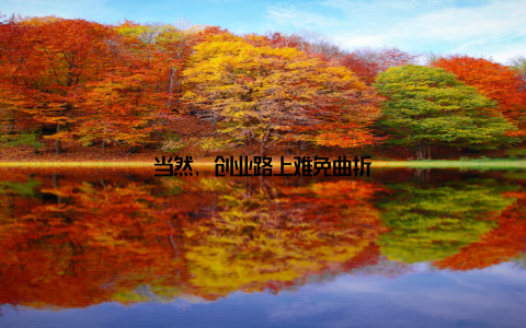 当然, 创业路上难免曲折