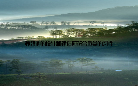 养殖池的设计和建造应符合鱼类的习性