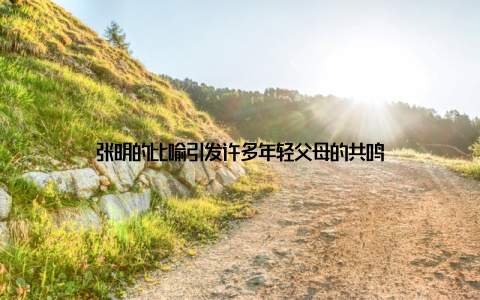 张明的比喻引发许多年轻父母的共鸣