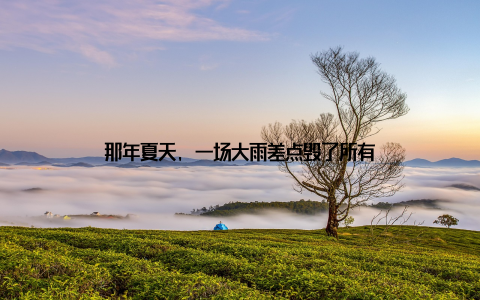 那年夏天, 一场大雨差点毁了所有