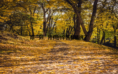 那一刻, 所有的辛苦都值得了