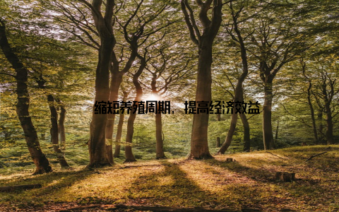 – 缩短养殖周期, 提高经济效益