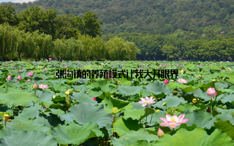 张沟镇的养殖模式让我大开眼界