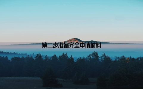 第二步准备齐全申请材料