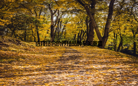 选择适合的养殖品种至关重要