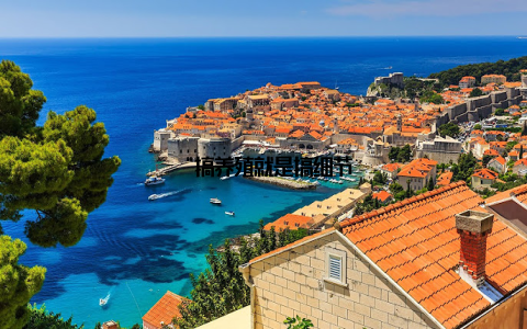 “搞养殖就是搞细节