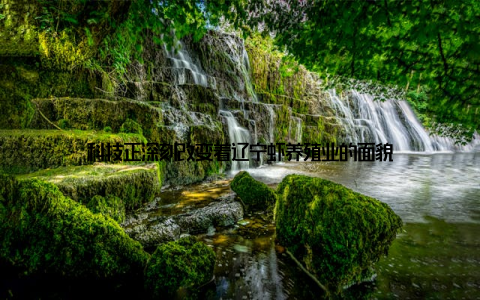 科技正深刻改变着辽宁虾养殖业的面貌