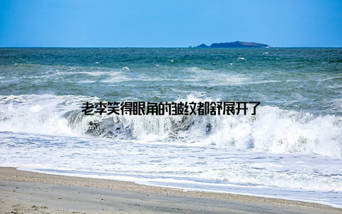 老李笑得眼角的皱纹都舒展开了