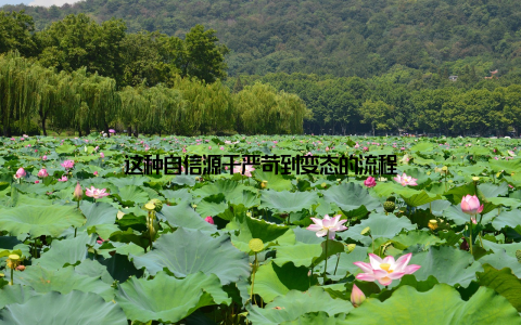 这种自信源于严苛到变态的流程