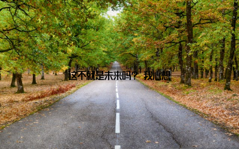 这不就是未来吗? 我心想