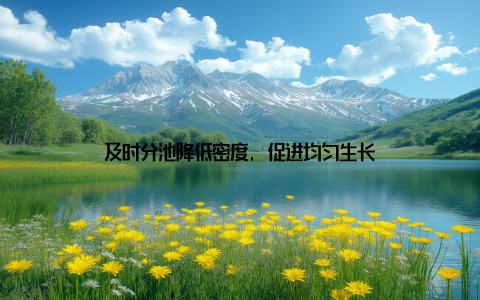 及时分池降低密度, 促进均匀生长