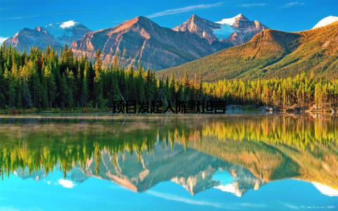 项目发起人陈默坦言