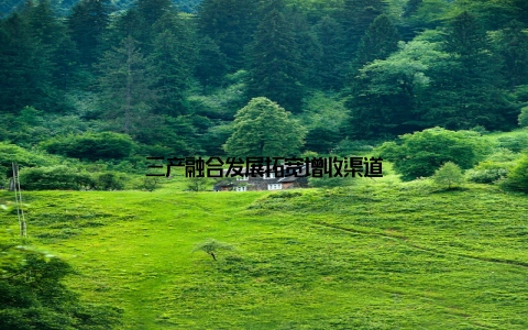 三产融合发展拓宽增收渠道