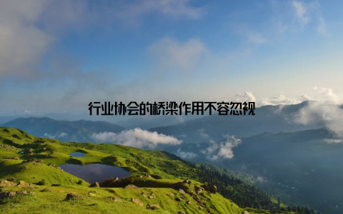 行业协会的桥梁作用不容忽视