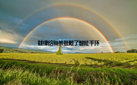 就像给每条鱼戴了智能手环