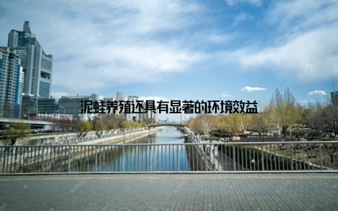 泥蛙养殖还具有显著的环境效益