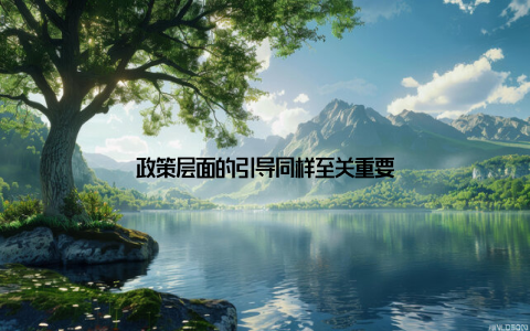 政策层面的引导同样至关重要