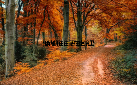 但转机往往藏在绝境里