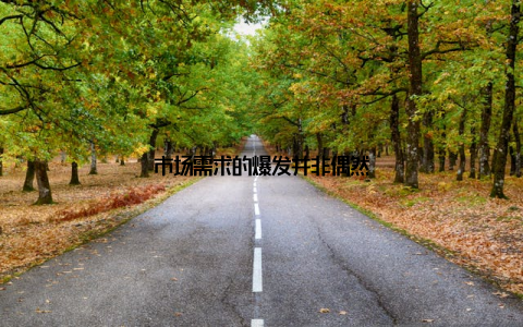 市场需求的爆发并非偶然