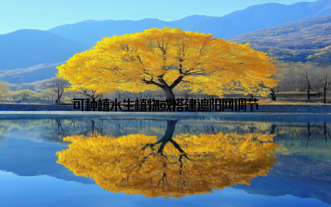 可种植水生植物或搭建遮阳网调节