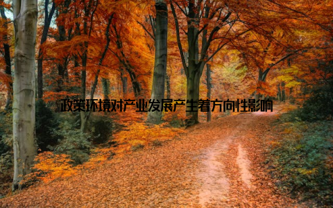 政策环境对产业发展产生着方向性影响