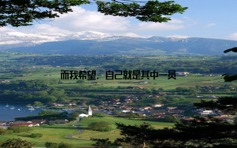 而我希望, 自己就是其中一员