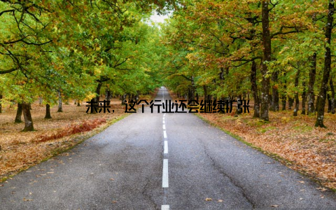 未来, 这个行业还会继续扩张