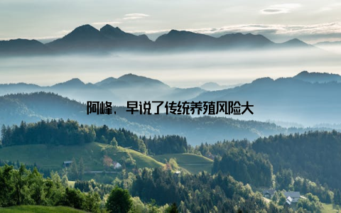 阿峰, 早说了传统养殖风险大