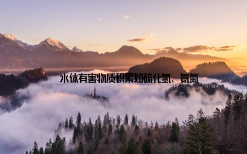 – 水体有害物质积累如硫化氢、氨氮