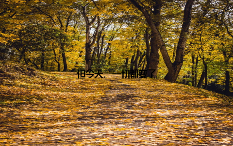 但今天, 一切都变了