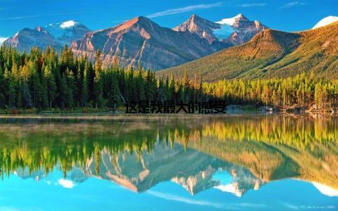 ”这是我最大的感受