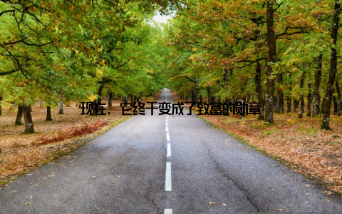 现在, 它终于变成了致富的勋章