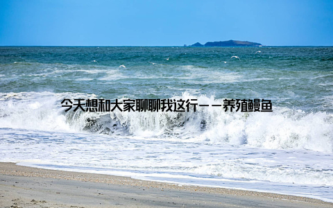 今天想和大家聊聊我这行——养殖鳗鱼