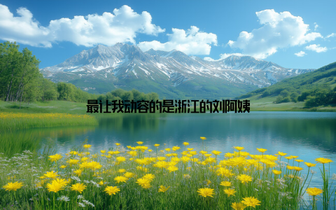 最让我动容的是浙江的刘阿姨