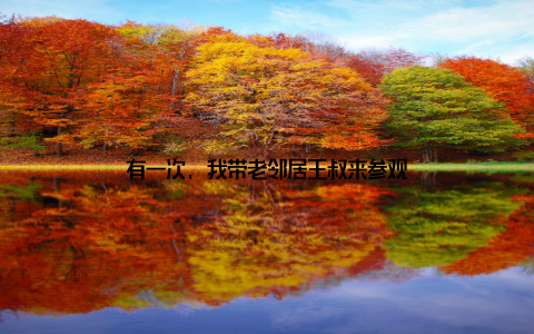 有一次, 我带老邻居王叔来参观