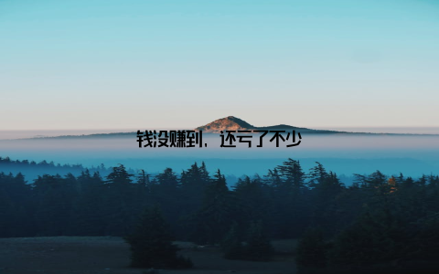 钱没赚到, 还亏了不少