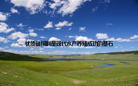 优质鱼饲料是现代水产养殖成功的基石