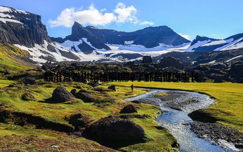 精准营养供给体系保障了虾苗健康生长