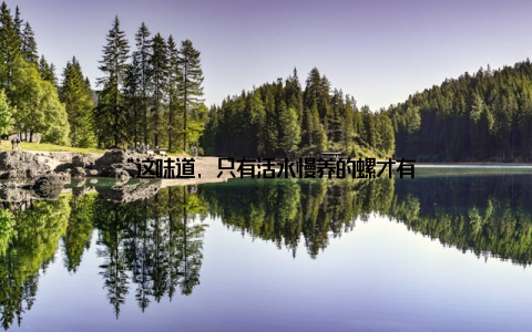 “这味道, 只有活水慢养的螺才有