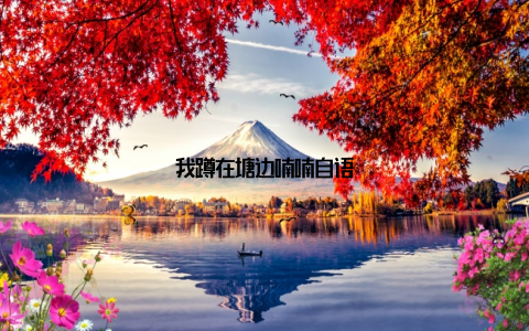 我蹲在塘边喃喃自语