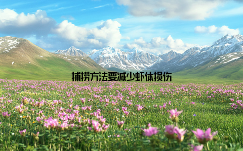 捕捞方法要减少虾体损伤