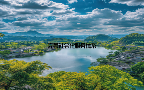完善社会化服务体系
