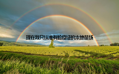 现在我只认准有检疫证的本地苗场